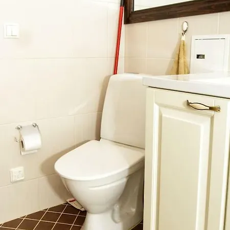 Cosy In A Renovated House *